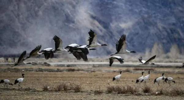 快照7.jpg?x-oss-process=style/w10