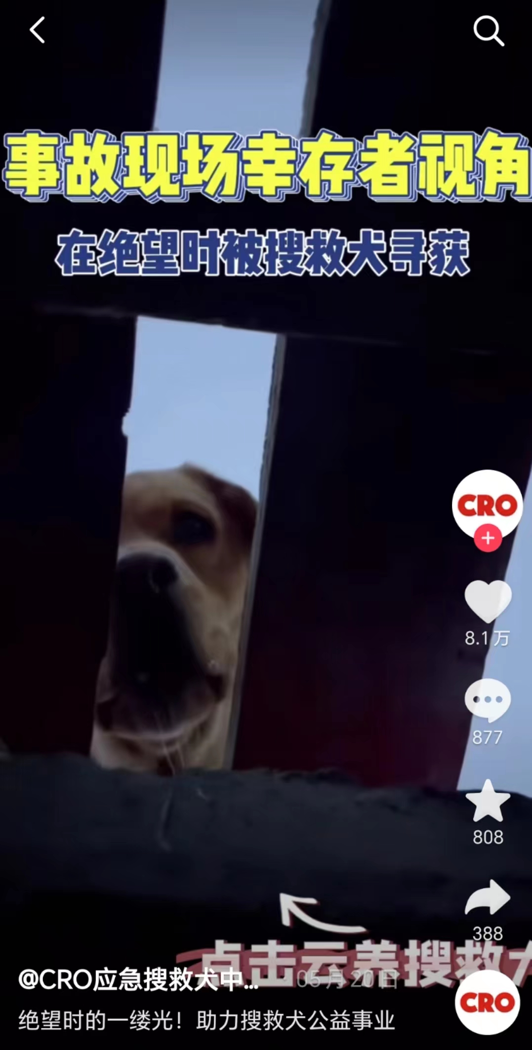幸存者视角中,搜救犬“吕布”寻获目标瞬间。受访者供图。