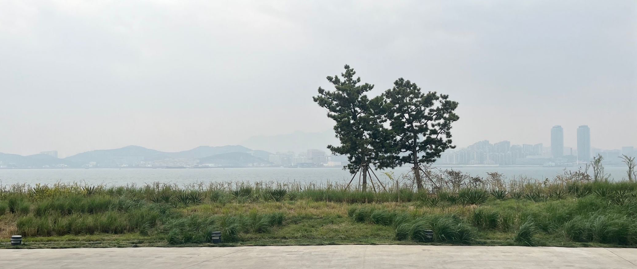 从5号展厅内向外望去的风景