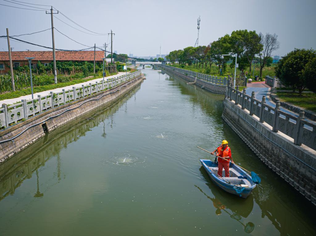 工作人员驾驶小船在宁波市江北区西大河上清理水面（8月11日摄，无人机照片）。