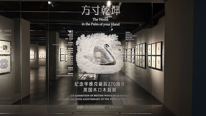 展厅现场