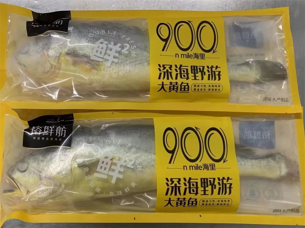 去年9月，国信1号养殖的黄花鱼上市