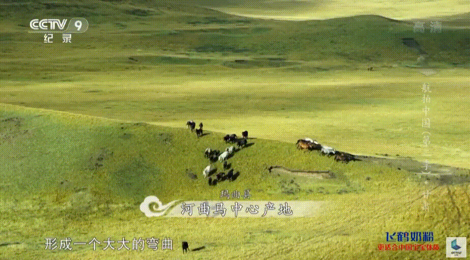 玛曲湿地。（图/《航拍中国》）