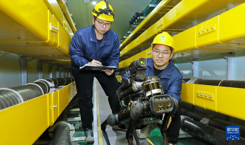 12月23日，国网北京电力公司技术人员调试“机器狗”四足巡检机器人，准备在北京市丰台区玉泉营电缆隧道内开展寒潮天气地下输电线路巡检。新华社图片