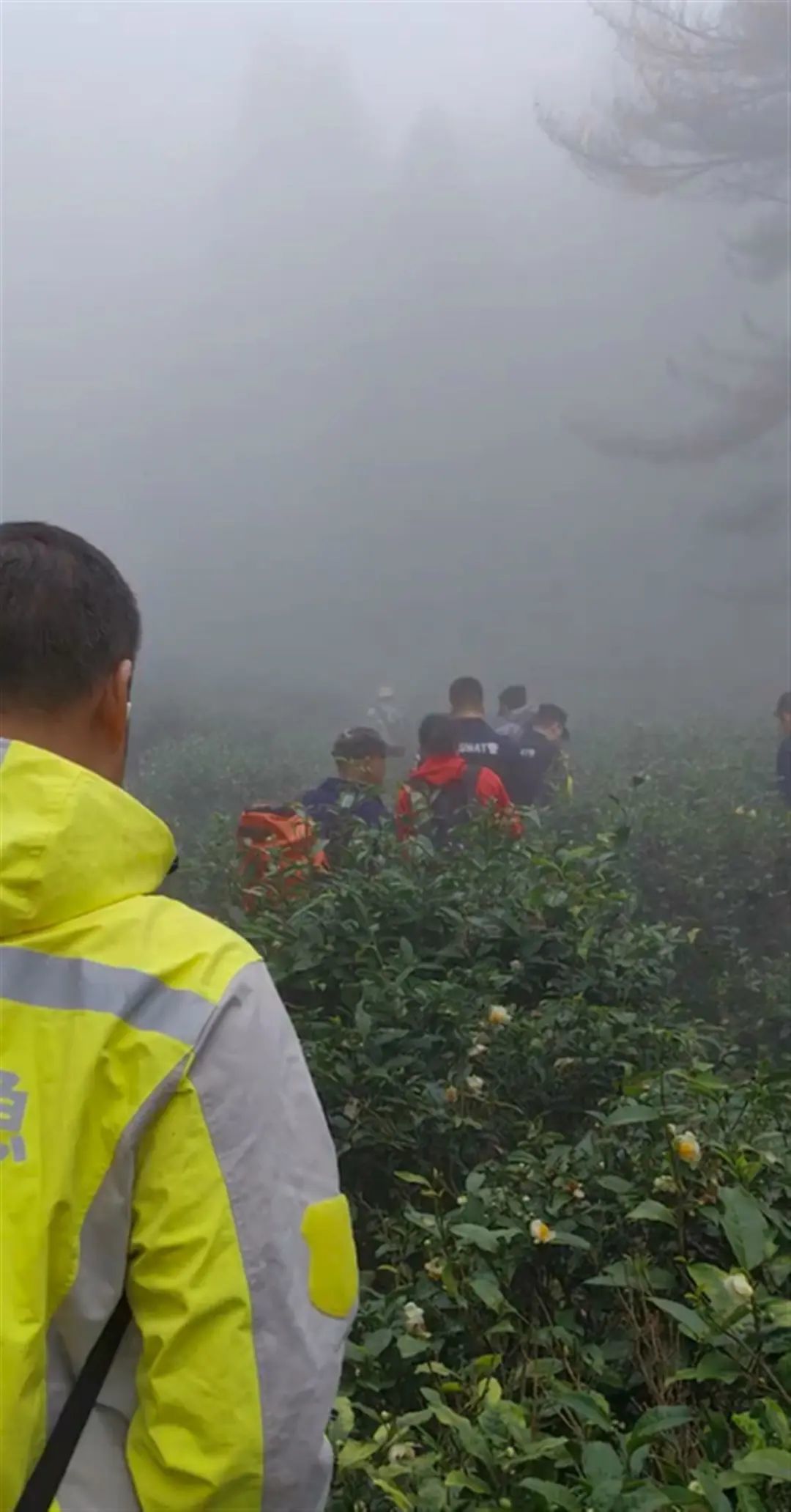 救援队员在山上的茶园搜救（视频截图）