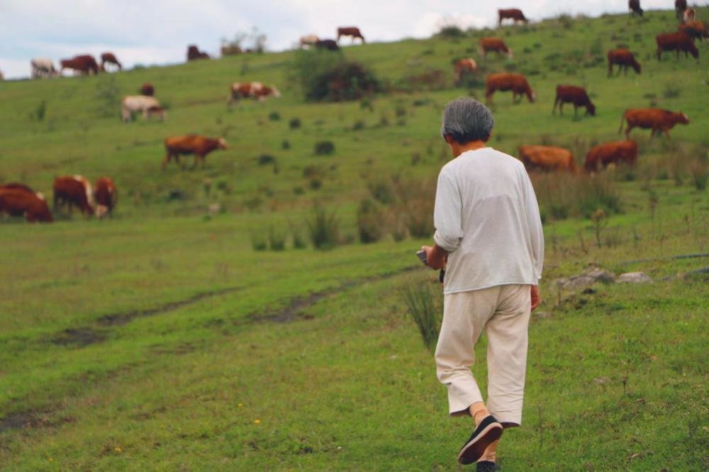 张瀛在兴仁市放马坪高山草原。朱雅文 摄