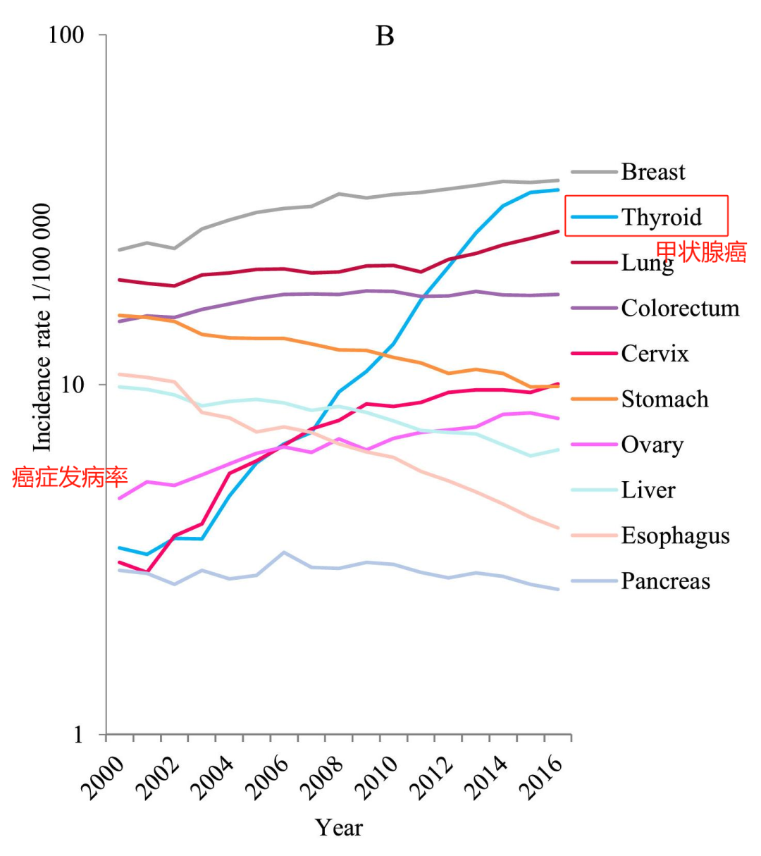 甲状腺癌的女性发病率增长在所有癌症中最为显著。（图/Cancer Incidence and Mortality in China, 2016）