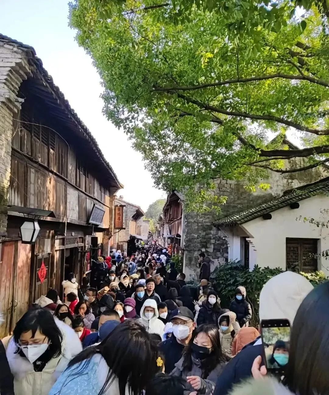 春节爆款目的地 挤过的都是狠人