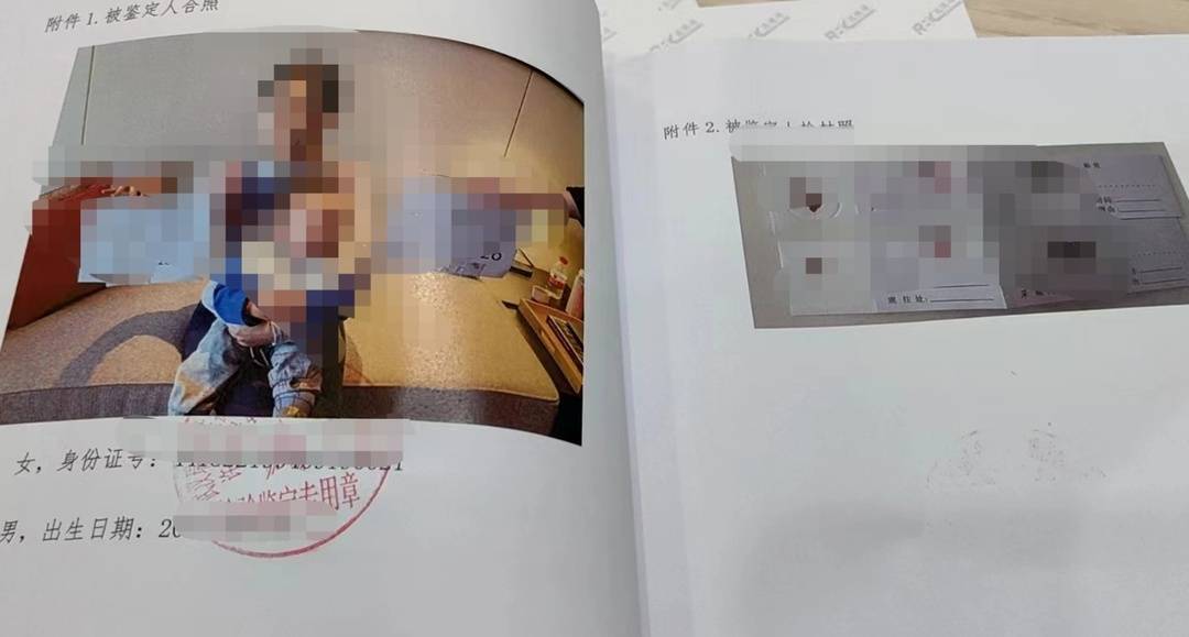 中介提供的虚假亲子鉴定报告