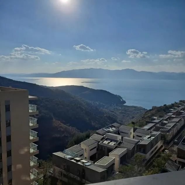 李乔老家购置的房产窗外景色,图源受访者