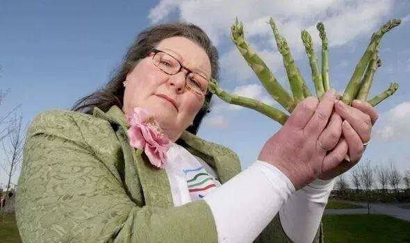 “芦笋大妈”杰迈玛·帕克顿