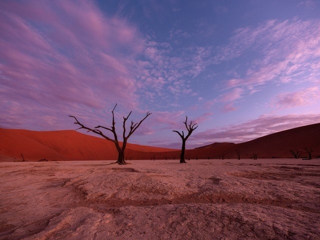 画质超越全幅机型 富士中画幅相机GFX 50S II非洲之旅