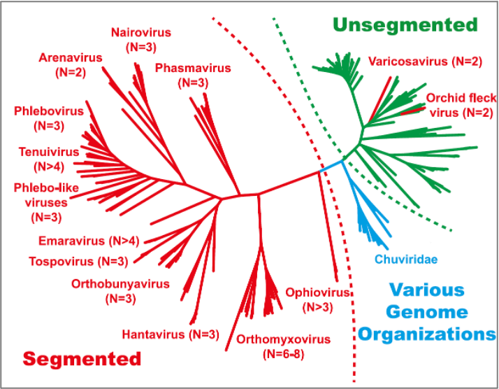 病毒学家张永振:未来5年还会不会出现新发突发传染病?可能规模不会像新冠这么大,但出现是必然
