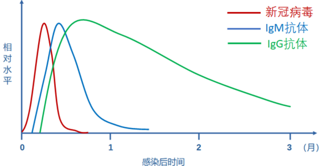 多地开展血清抗体检测,这和全民核酸会有哪些不一样?