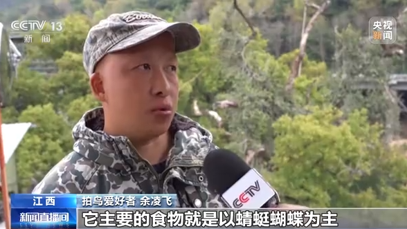 大美中国 候鸟北归丨看白鹤归来“熊猫鸟”捕食尽显霸气