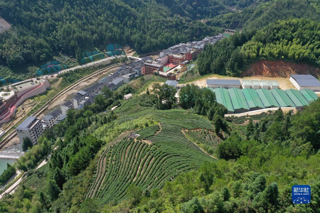 寿宁县下党乡下党村的食用菌产业园（2023年8月5日摄，无人机照片）。新华社记者 林善传 摄
