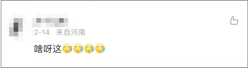 上百人排队打卡上海武康路郁金香 网友:这是“诈骗”!