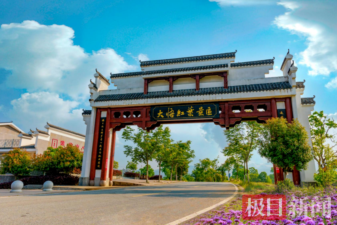 大悟红叶景区