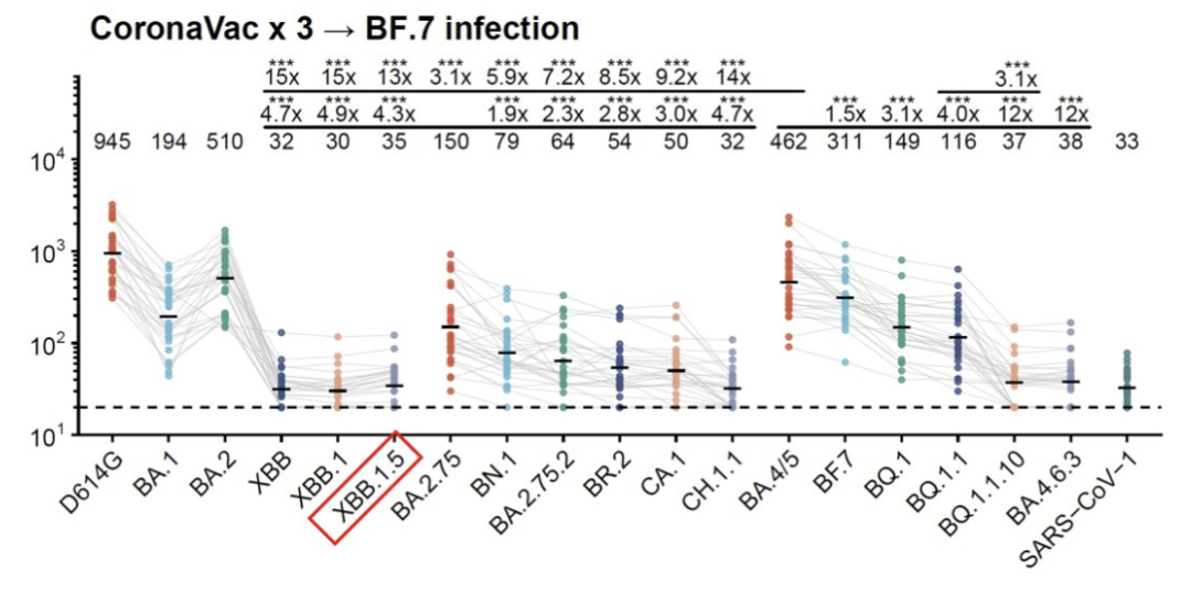 图片来源:Yunlong Richard Cao@Twitter