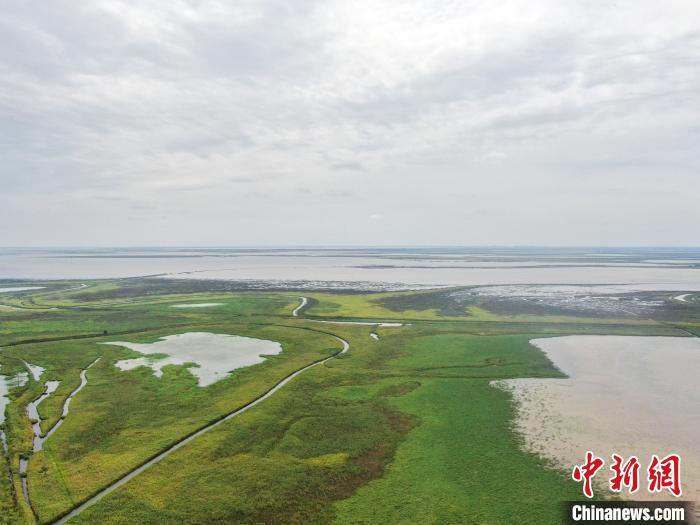 航拍江西鄱阳湖南矶湿地国家级自然保护区 水草丰茂风光秀美