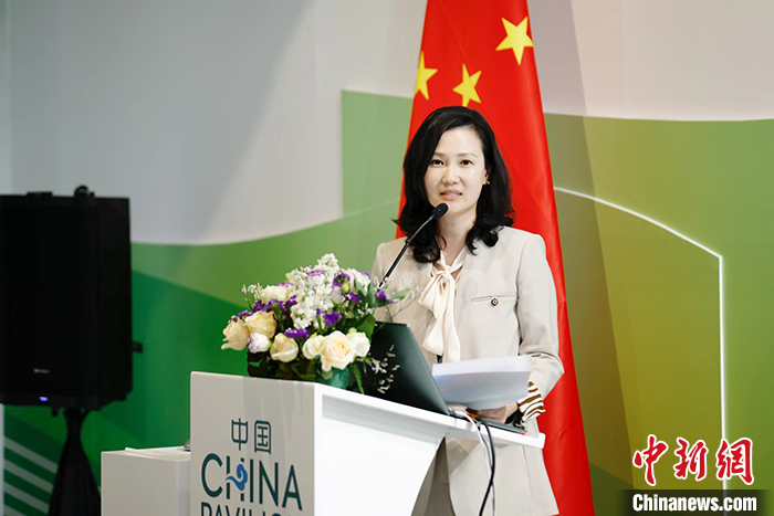 俞岚:实现绿色转型,绿色金融不应是装饰品