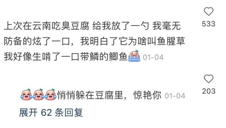 △即使避开了所有和“折耳根”“鱼腥草”相关的菜肴,依旧在小吃摊上不幸“中招”。/小红书截图