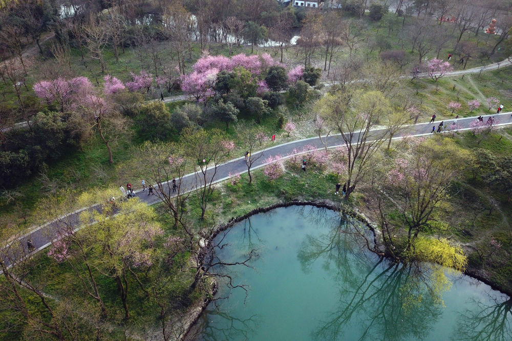 2019年3月16日，游客在杭州西溪国家湿地公园观光（无人机拍摄）。新华社记者 黄宗治 摄