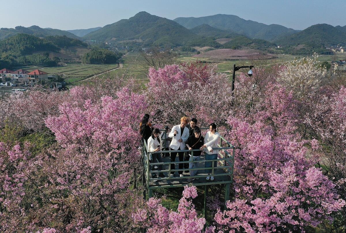 图片来源:IC Photo