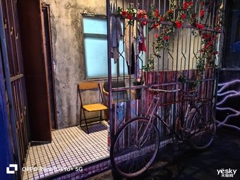 OPPO Reno10 Pro+评测:光影由远及近,让长焦真正回归人像!