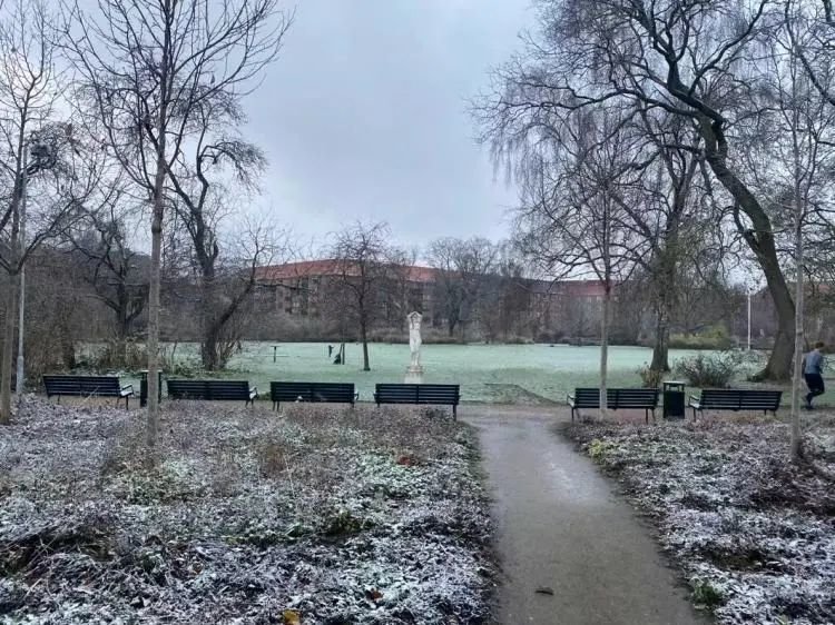 这个春节,我终于带新郎见到了爸妈