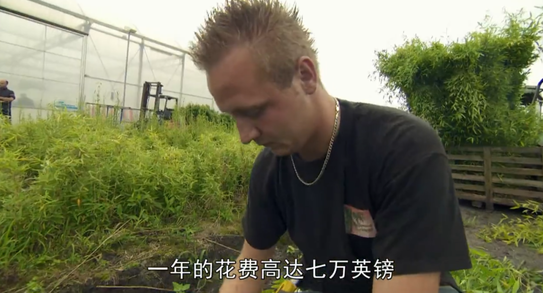 被质疑遭受“虐待”的旅美大熊猫 总算要接回来了