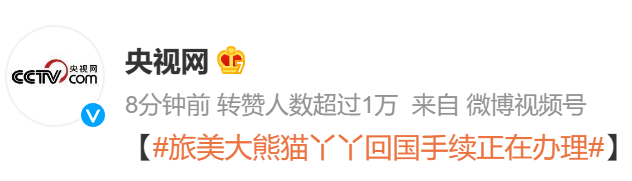 被质疑遭受“虐待”的旅美大熊猫 总算要接回来了