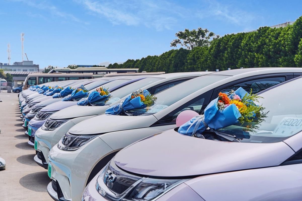 新出行助力新生活,上海华帆书豪“海豚百车交付”顺利落幕!