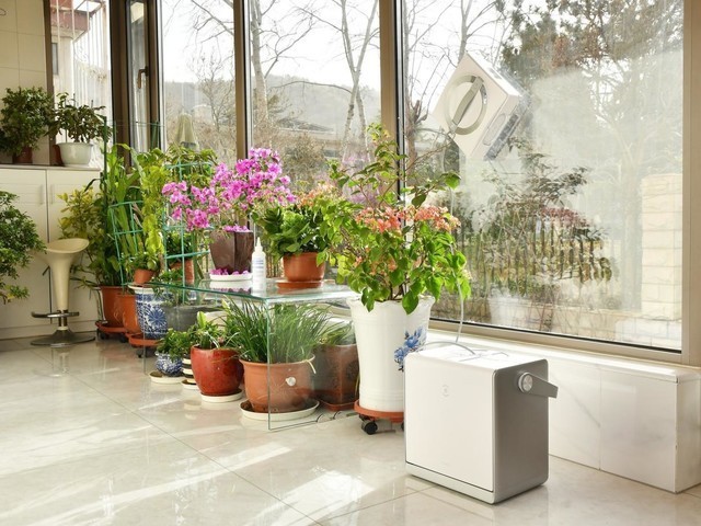 收线麻烦?擦不干净?科沃斯窗宝W2 PRO颠覆你对擦窗机器人的认知