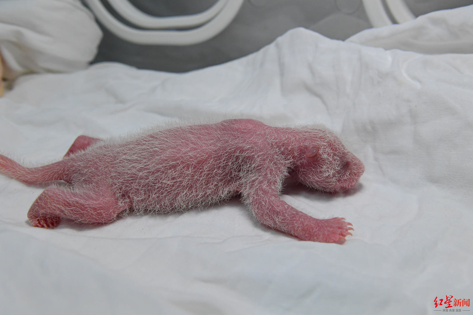 WeChat Image_20230118154428.jpg