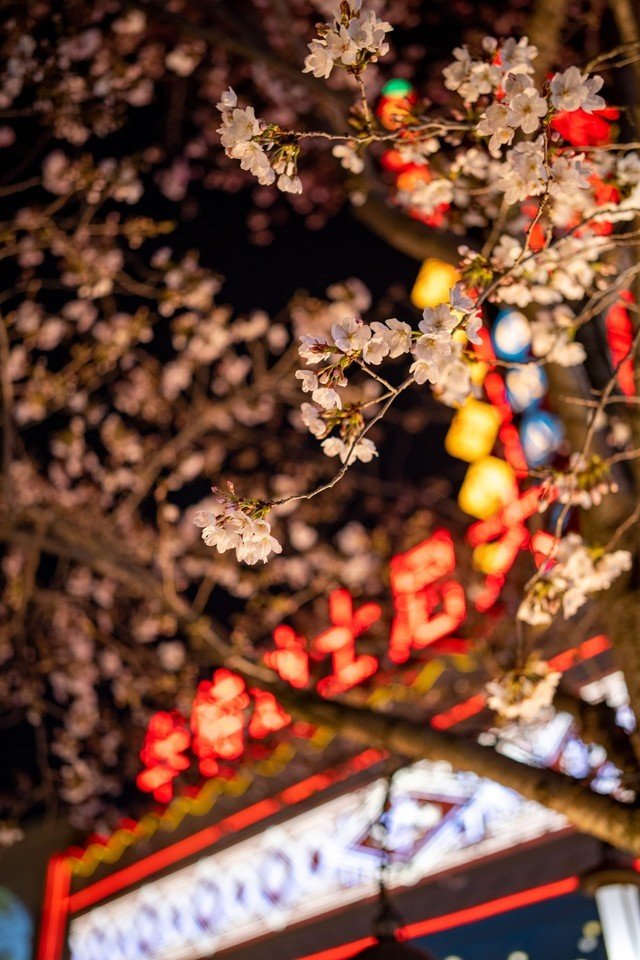 【有料评测】永诺YN35mm F2Z DF DSM评测:1799元国产全画幅自动对焦镜头