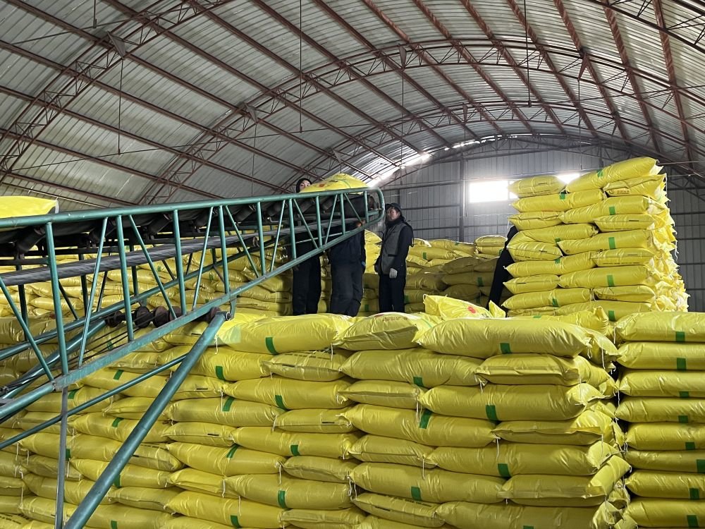 2月6日,黑龙江省双鸭山市宝清县丰收农业有限公司仓库内,工人正在搬运