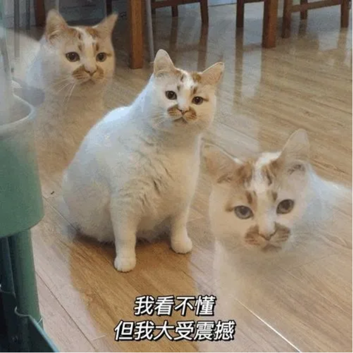 633c91693d004f81969898ab94f60cc1.038.png
