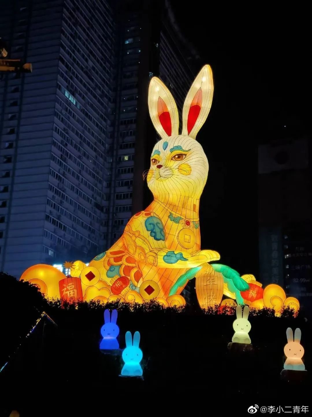 重庆的小兔兔。/微博用户@李小二青年
