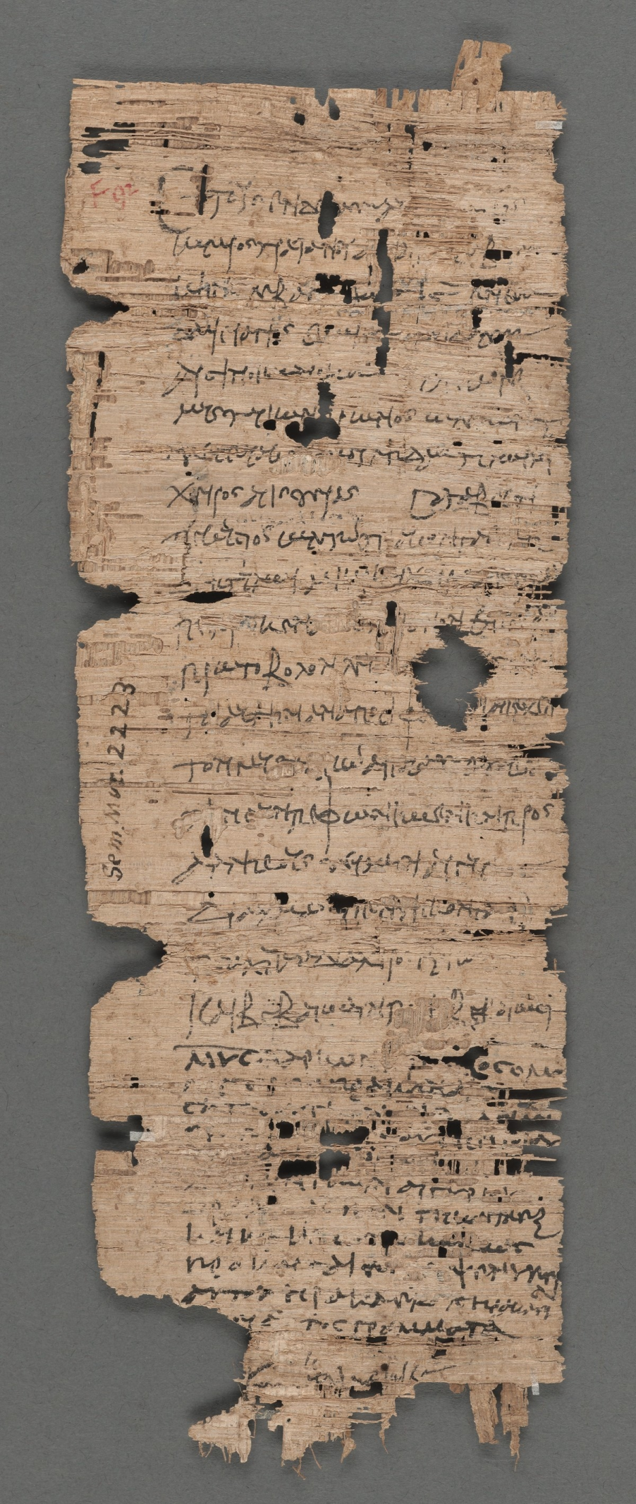 古人习惯短行纵排地分栏使用莎草纸。图为公元前126年古希腊人用莎草纸写的一张卖驴账单，原件现藏哈佛大学霍顿图书馆。