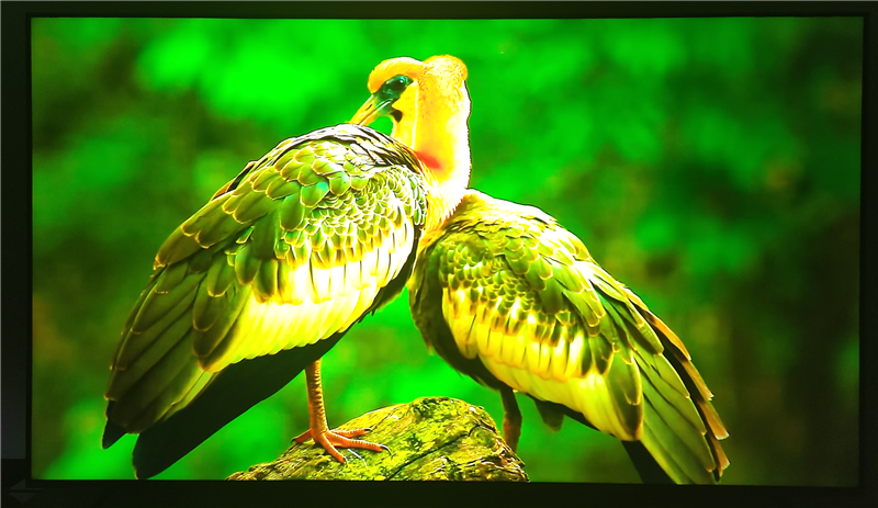 万元以内没有对手!小米电视 S Pro Mini LED 85寸评测:延迟接近于0 全屏亮度超900nit