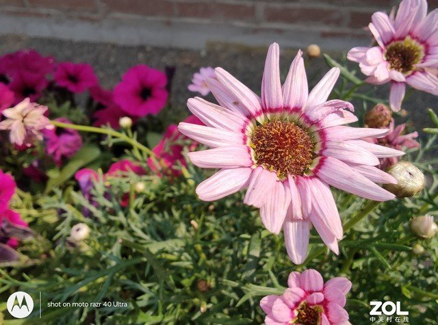 moto razr 40 Ultra全面评测 一款“不想让你打开”的折叠屏手机