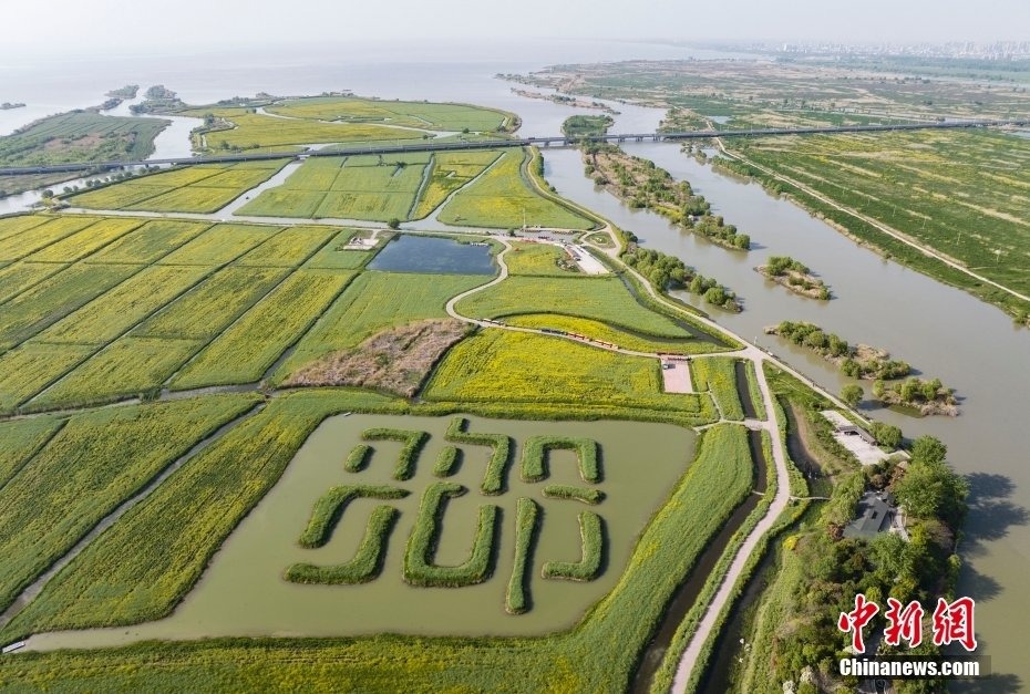 4月16日,航拍京杭大运河畔江苏高邮,运河航运、盂城驿、文游台、汪曾祺纪念馆、清水潭湿地、湖上花海……处处呈现出水乡小城的历史人文气息。高邮依湖傍河,造就了“一城一湖两河三堤”独特景观。(无人机照片)中新社记者 泱波 摄