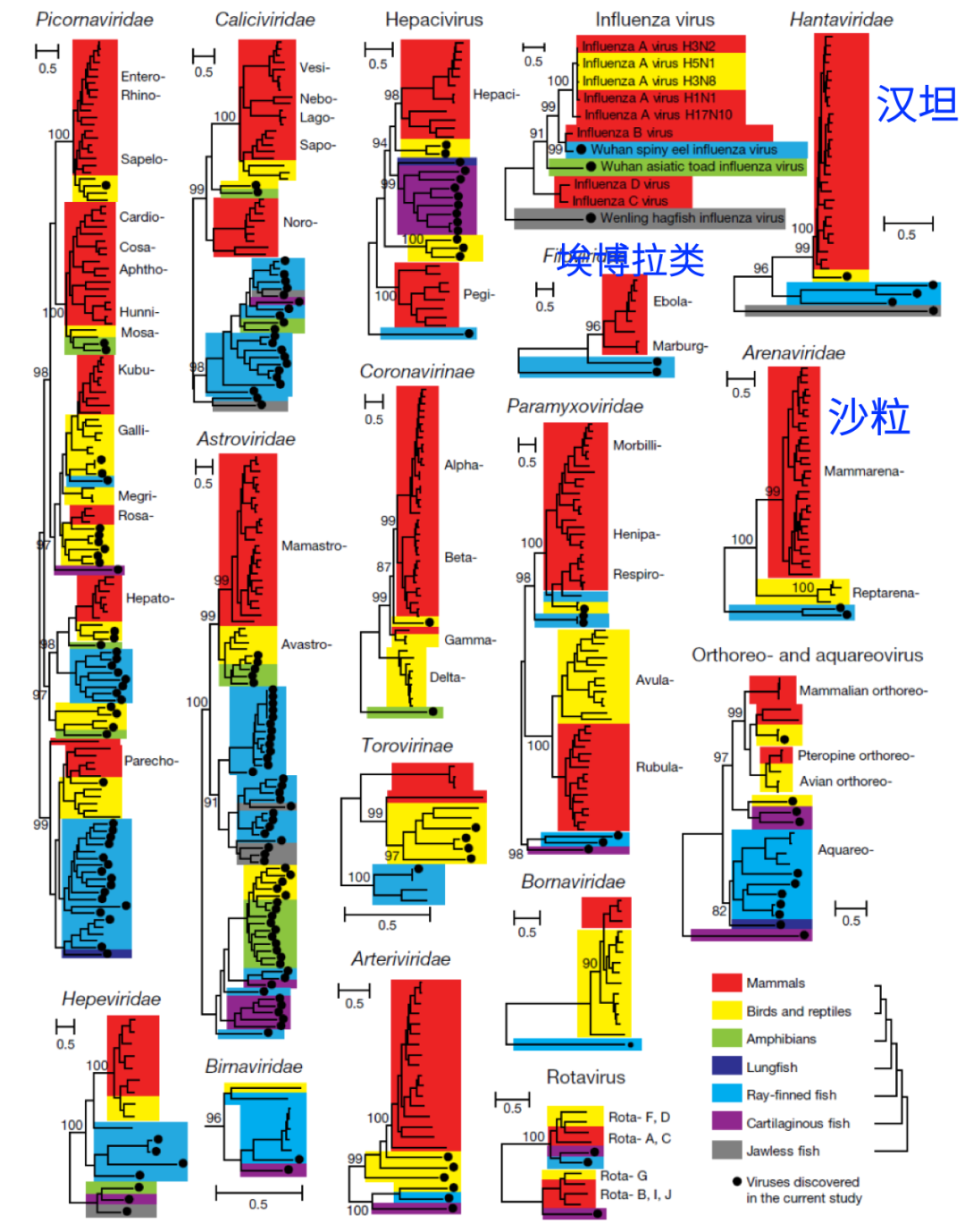 病毒学家张永振:未来5年还会不会出现新发突发传染病?可能规模不会像新冠这么大,但出现是必然