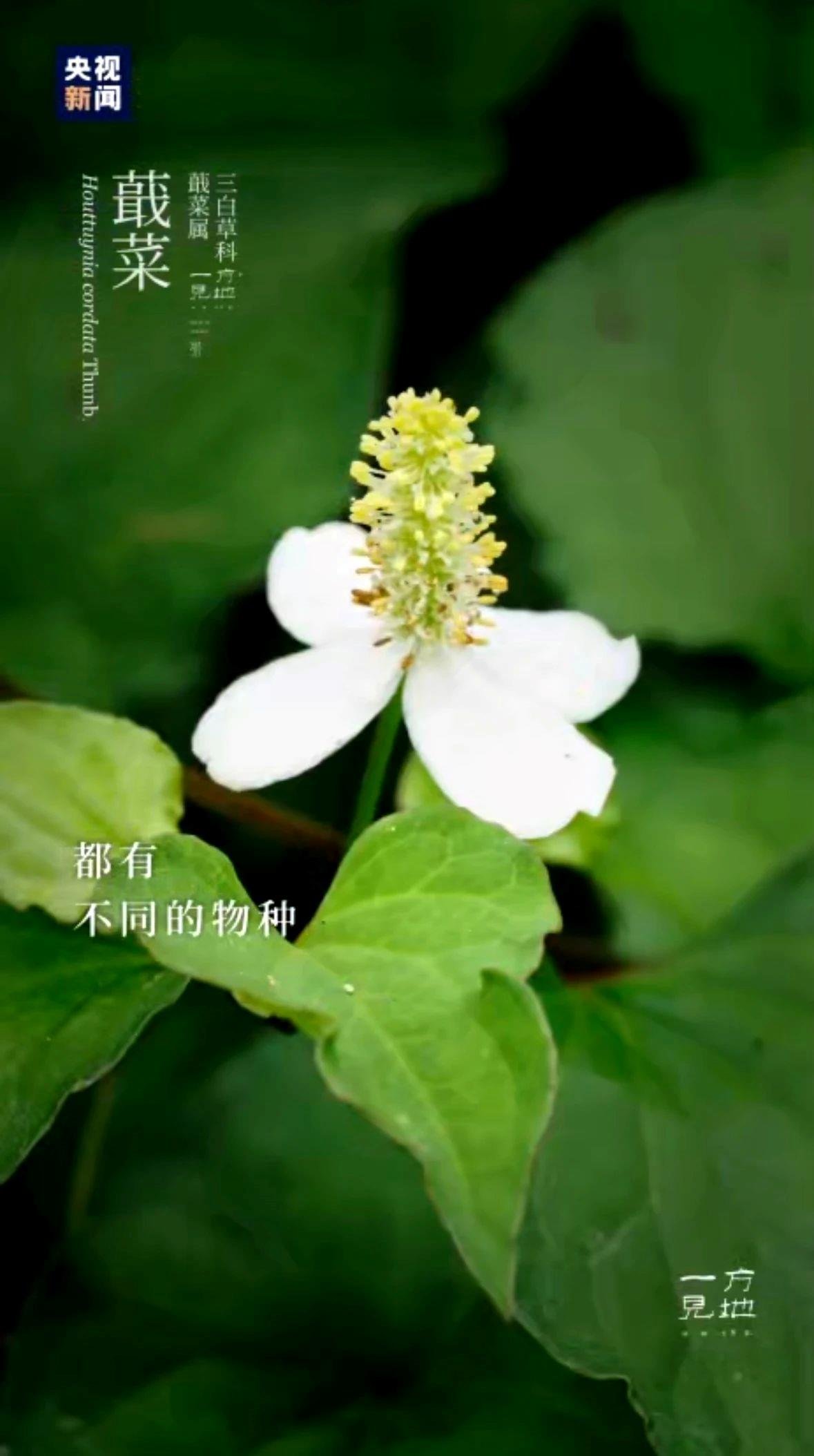 芒种丨“芒”有所获，“种”有所得