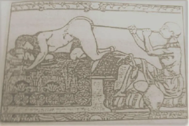 图片来源:参考文献