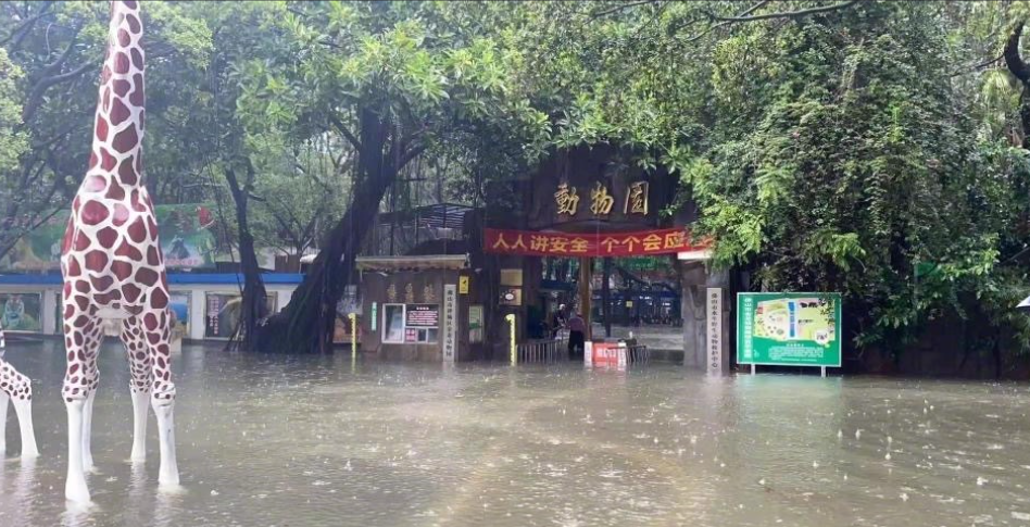 佛山中山公园动物园门外 图/视频截图