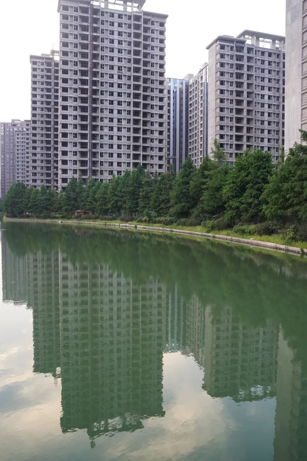 2022年上海疫情缓和后,刘梦购买的楼盘却再没有更新进展。