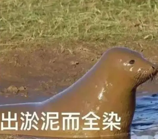 热游情报:《诛仙世界》二测显真容 腾讯一个月造两大爆款新游