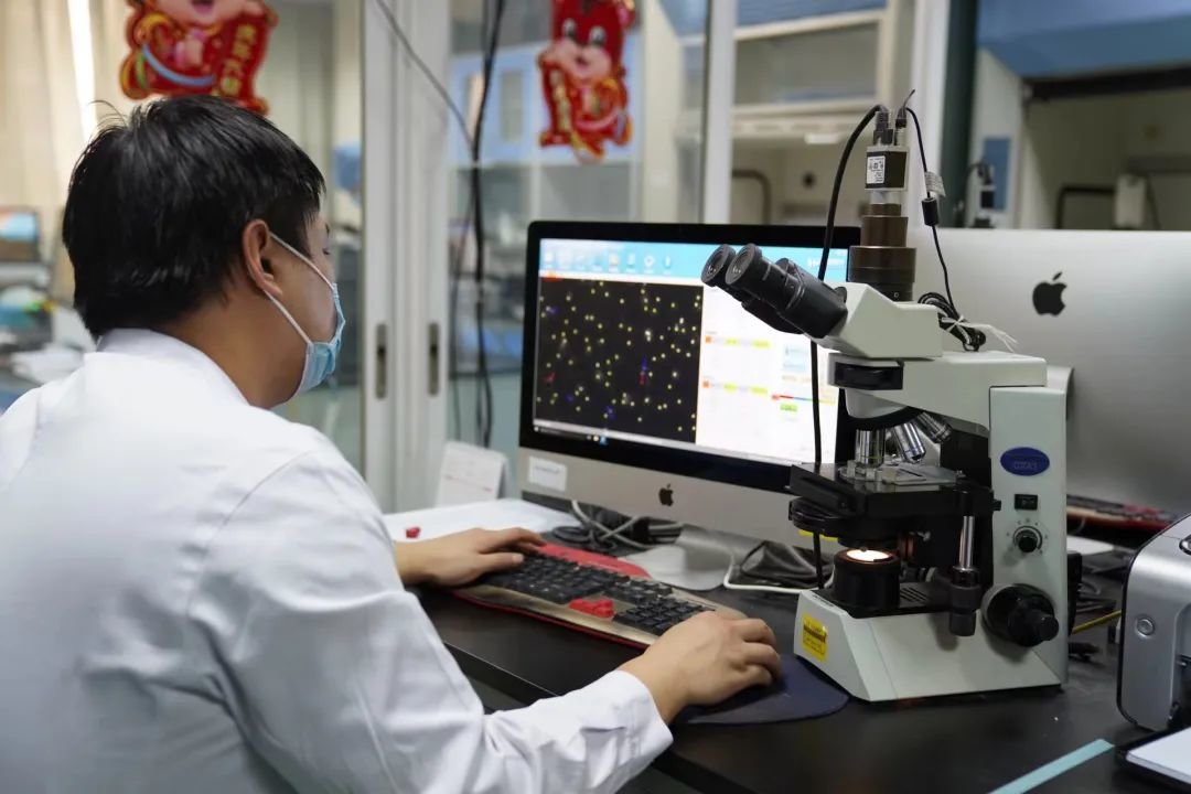 生殖男科实验室。国是直通车 赵斌 摄